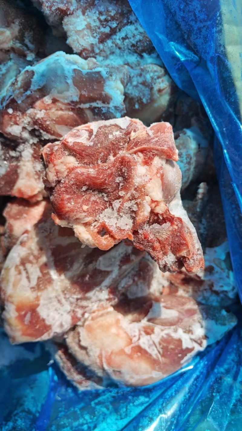 多肉前棒骨