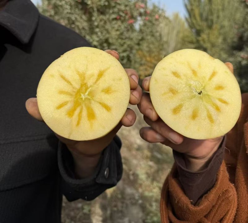 现摘现发新疆阿克苏苹果连箱10斤