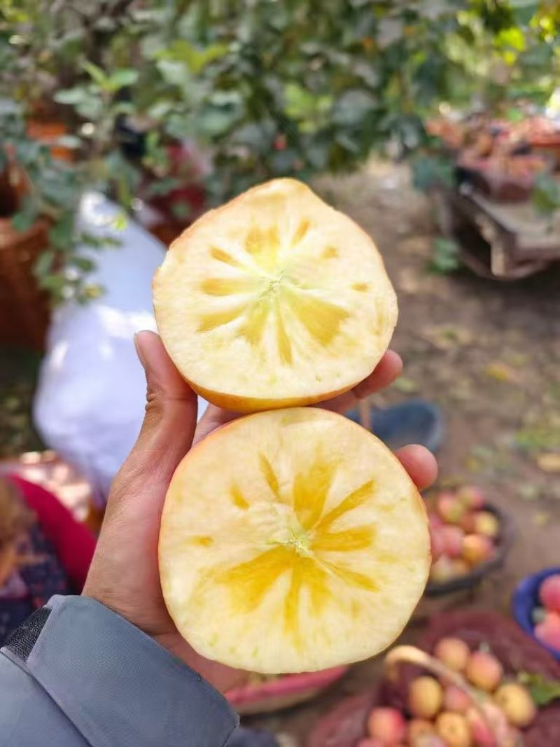 现摘现发新疆阿克苏苹果连箱10斤