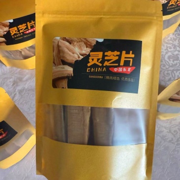 灵芝片