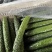 精品带刺黄瓜，量大需要的可以了解，便宜