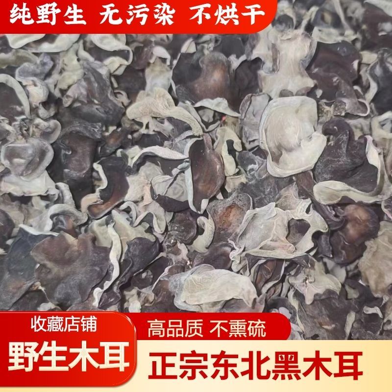东北黑木耳大兴安岭***野生木耳生长木耳柞木生长软糯