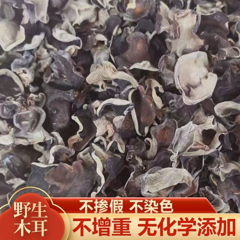 东北黑木耳大兴安岭***野生木耳生长木耳柞木生长软糯