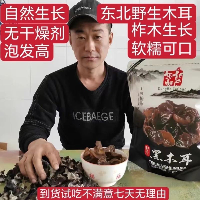 东北黑木耳大兴安岭***野生木耳生长木耳柞木生长软糯