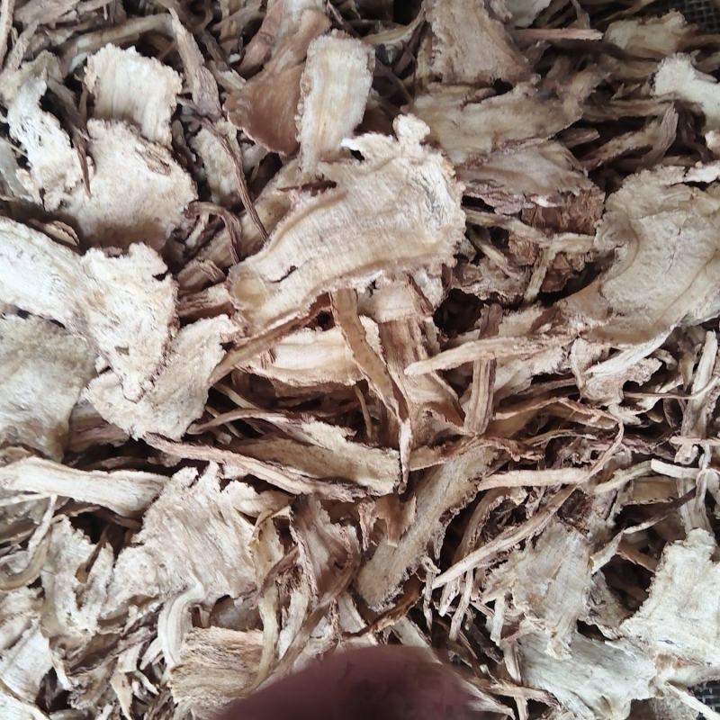 当归全归片无硫含量高。有各种规格量大从优。欢迎前来购买。