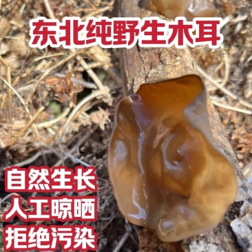 东北野生黑木耳***特级木耳黑龙江大兴安岭特产新货批发