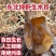 东北野生黑木耳***特级木耳黑龙江大兴安岭特产新货批发