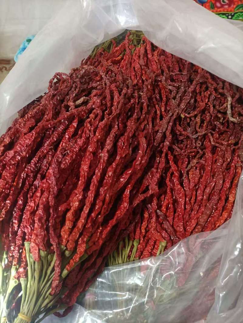 鸡肠辣椒干货大量现货