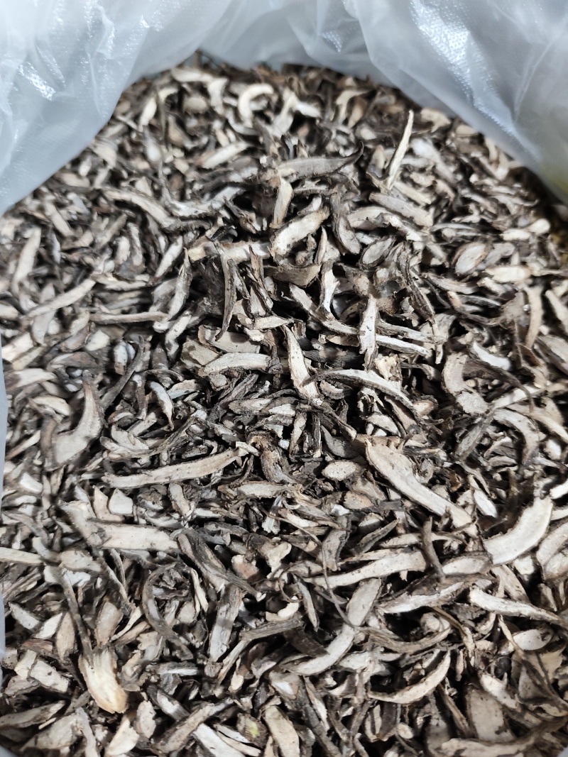 温州土人参产地一手货源，量大优惠，欢迎新老客户前来合作