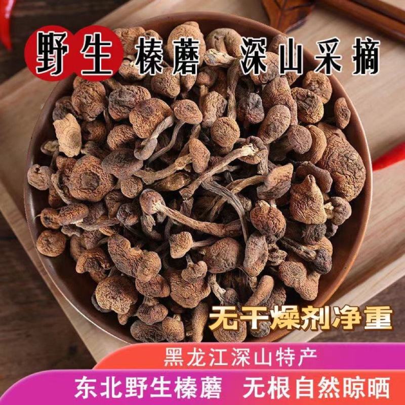 东北特产野生榛蘑新货原生态蘑菇特级干货纯正野生新鲜特产