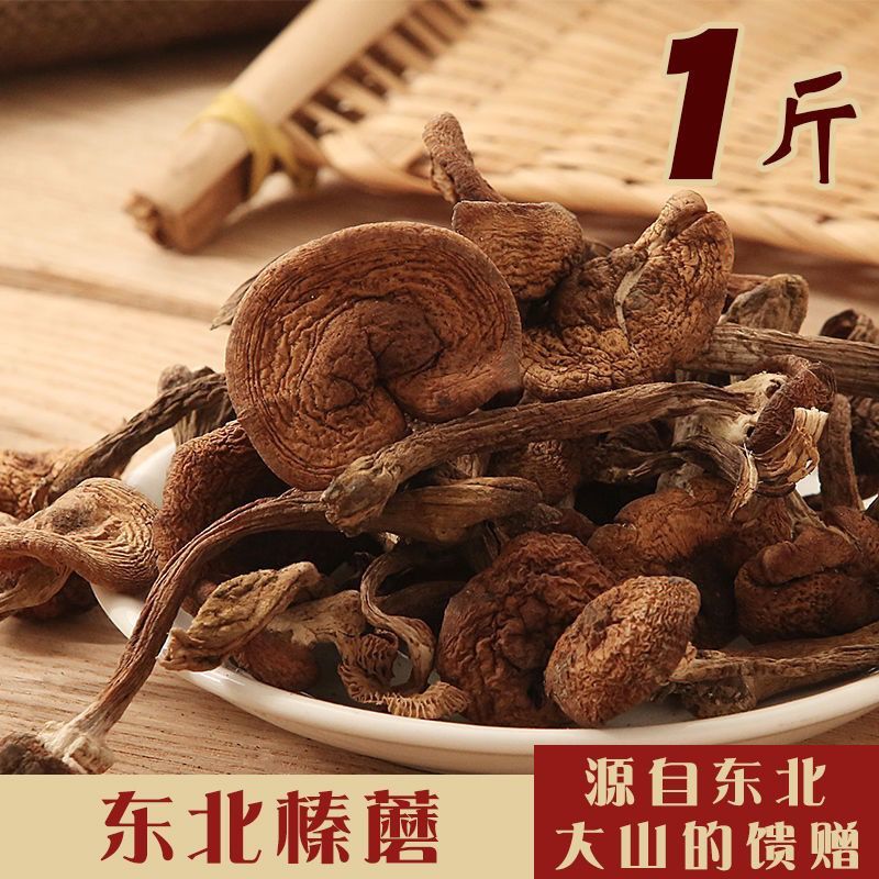 东北特产野生榛蘑新货原生态蘑菇特级干货纯正野生新鲜特产