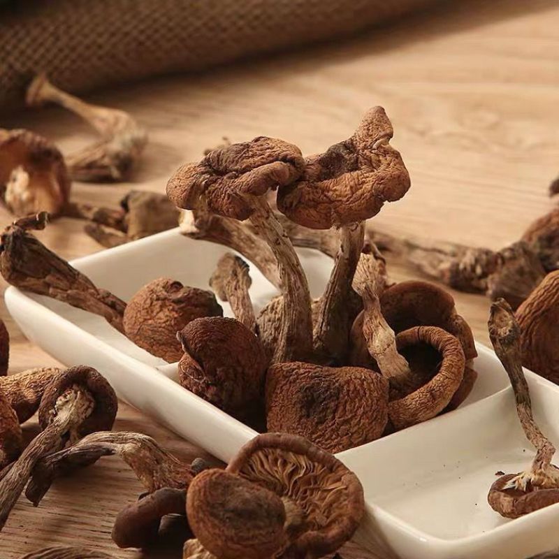 东北特产野生榛蘑新货原生态蘑菇特级干货纯正野生新鲜特产