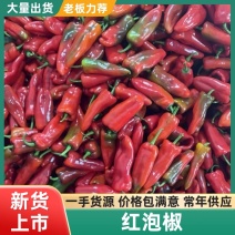辽宁红泡椒大量供应可承接各大平台一手货源保质保量