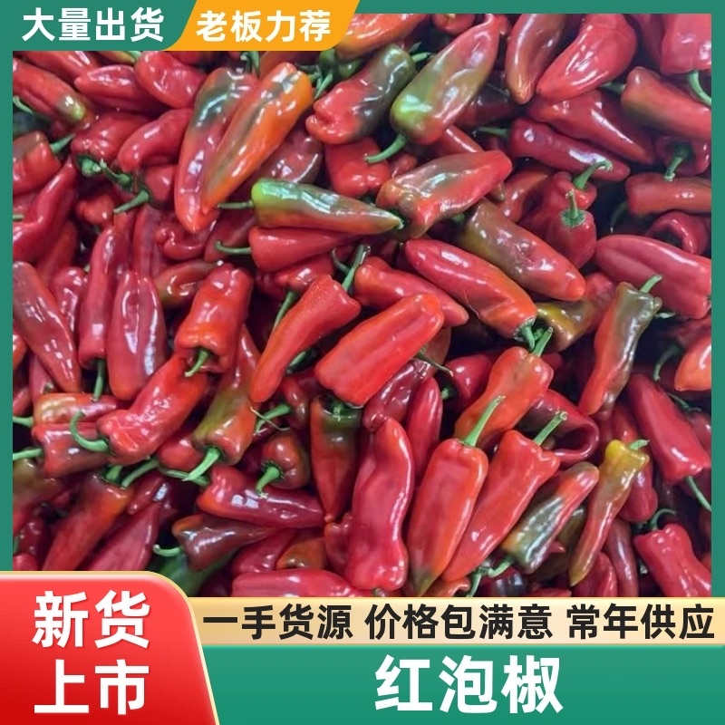 辽宁红泡椒大量供应可承接各大平台一手货源保质保量