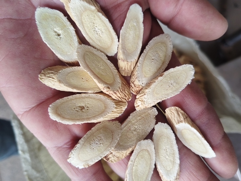 黄芪：精品黄芪有各种规格含量高量大从优欢迎购买。
