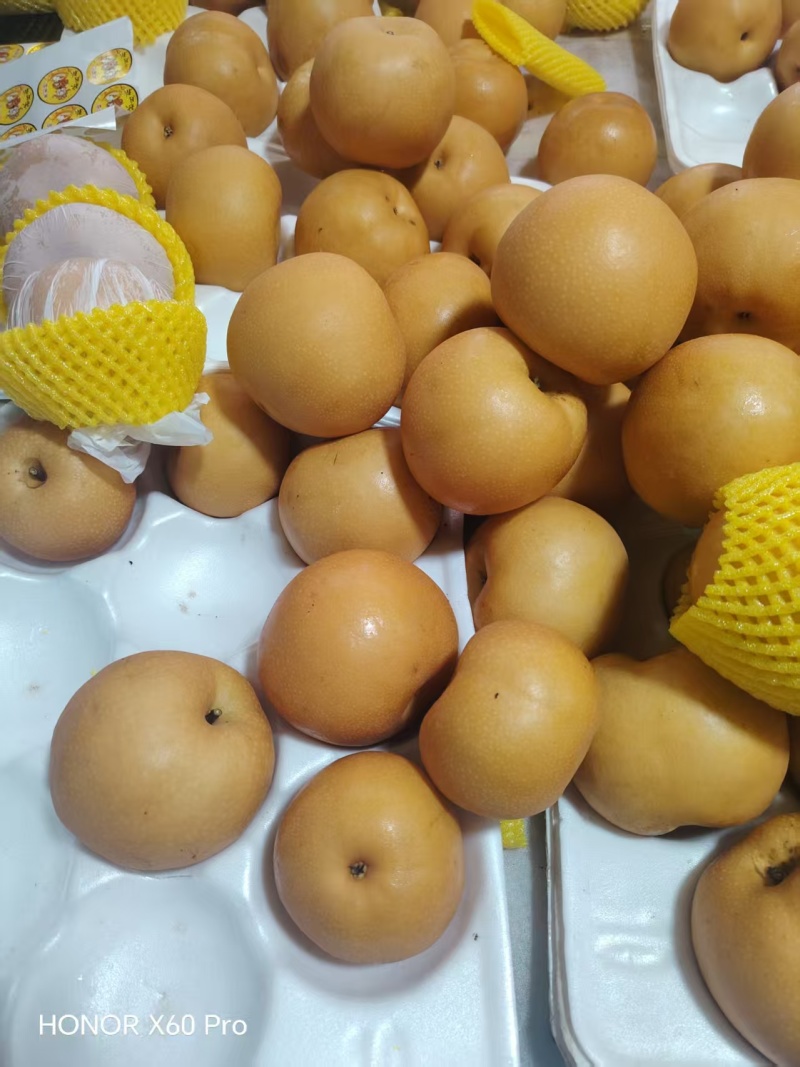 秋月梨，酥梨大量出货了