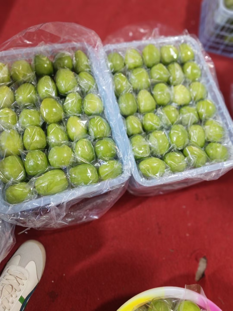 优质云南元谋青枣，市场，商超，电商大量供应