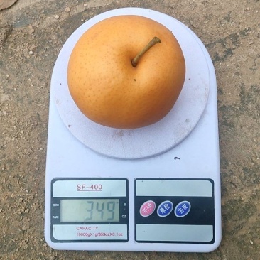 456两电商货需要请联系，量大