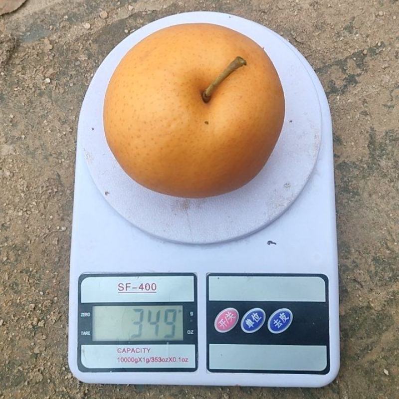 456两电商货需要请联系，量大