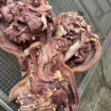 火烧全熟牛头肉
