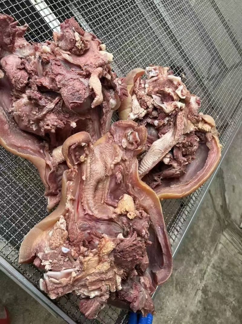 火烧全熟牛头肉