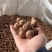 夏威夷果。精品。夏威夷果。电商货，精品货商超货。大量供应