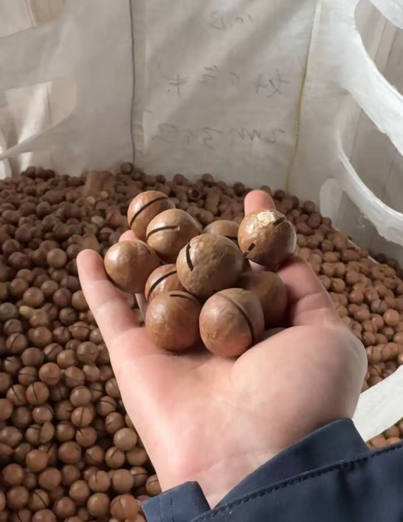 夏威夷果。精品。夏威夷果。电商货，精品货商超货。大量供应