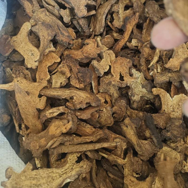 白术（蜜麸炒）