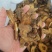 白术（蜜麸炒）