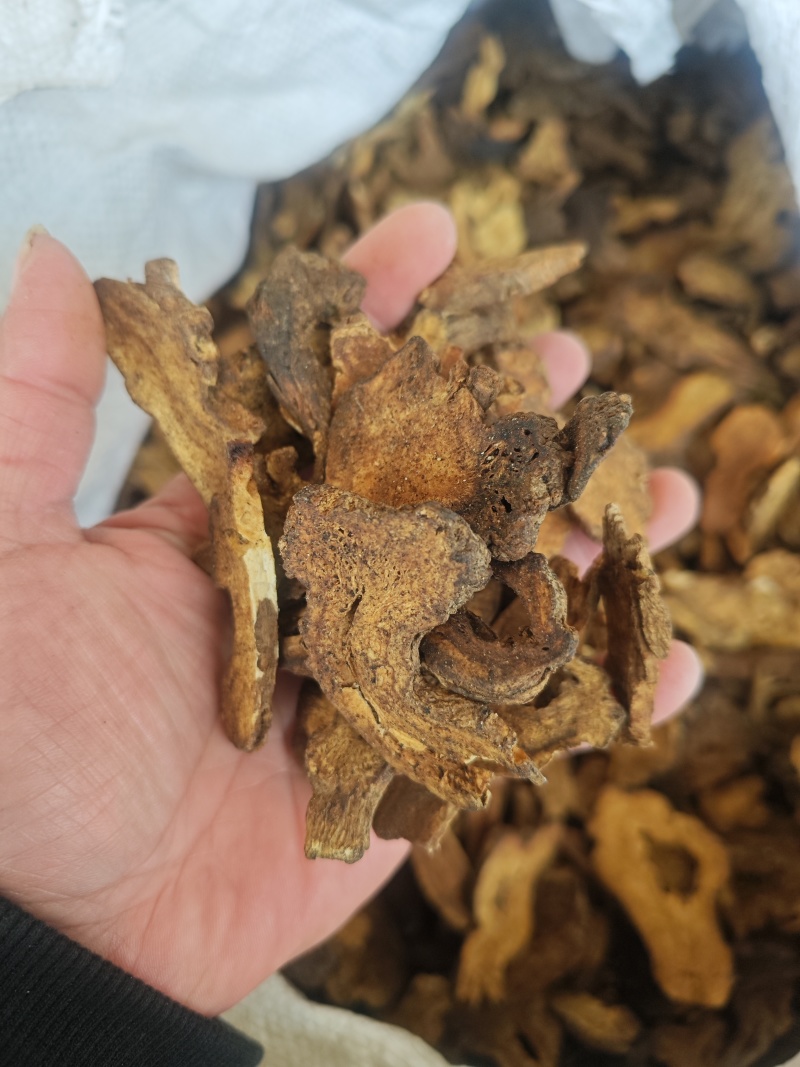 白术（蜜麸炒）