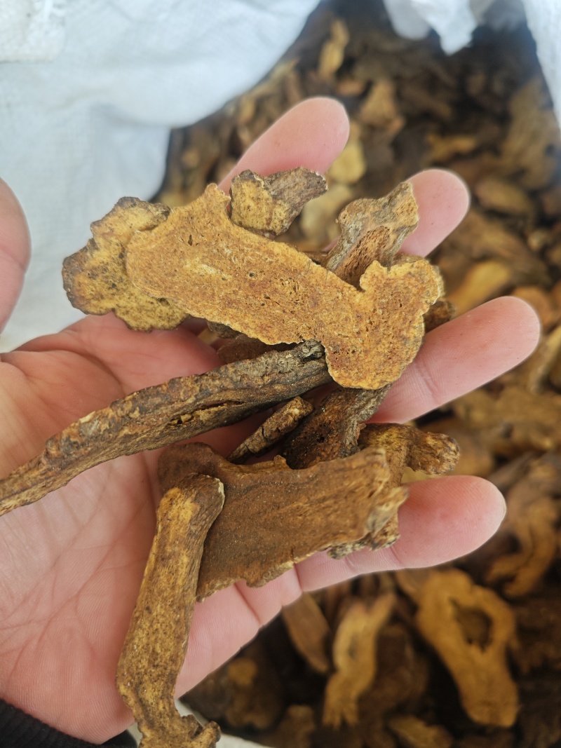 白术（蜜麸炒）