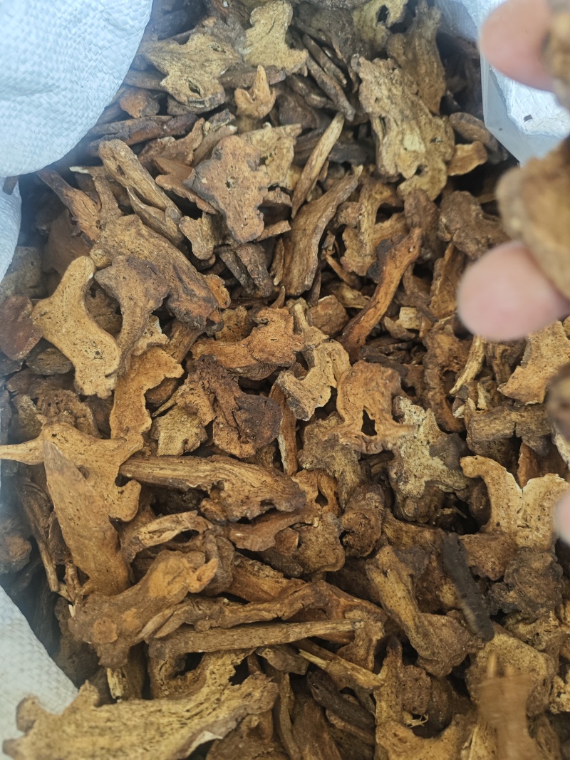 白术（蜜麸炒）