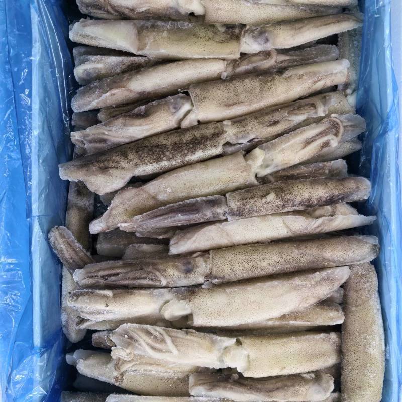 鱿鱼，火箭鱿鱼，加州鱿鱼，笔管鱼，