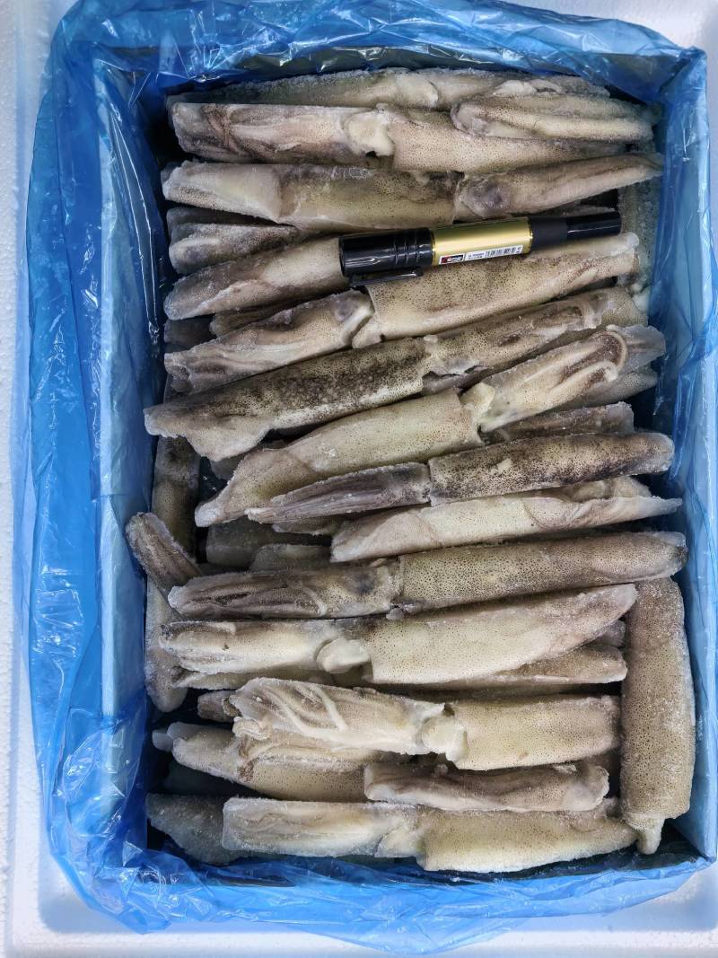 鱿鱼，火箭鱿鱼，加州鱿鱼，笔管鱼，