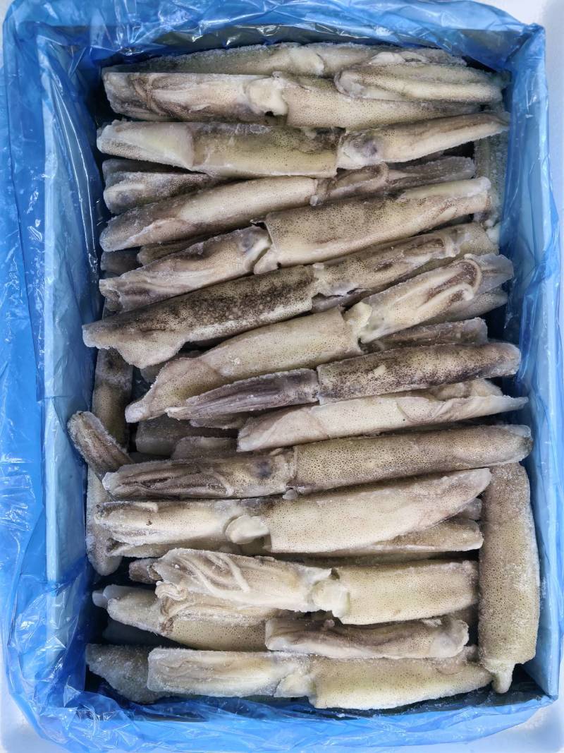 鱿鱼，火箭鱿鱼，加州鱿鱼，笔管鱼，