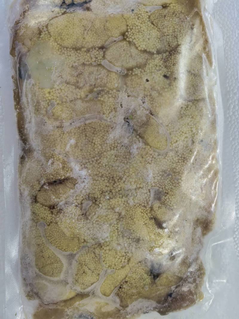 鱼籽，鱼卵，红烧鱼籽，干煎鱼籽，