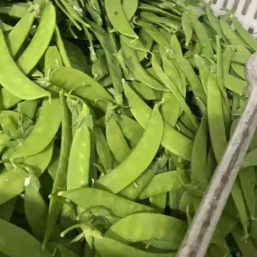 荷兰豆