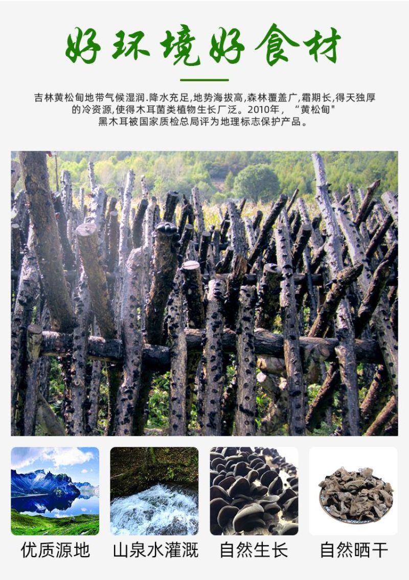 正宗东北秋木耳干货长白山黑木耳优质椴木正品生非野生散装批