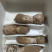 野生鸡腿菇常年批发承接饭店/超市/生鲜平台订单
