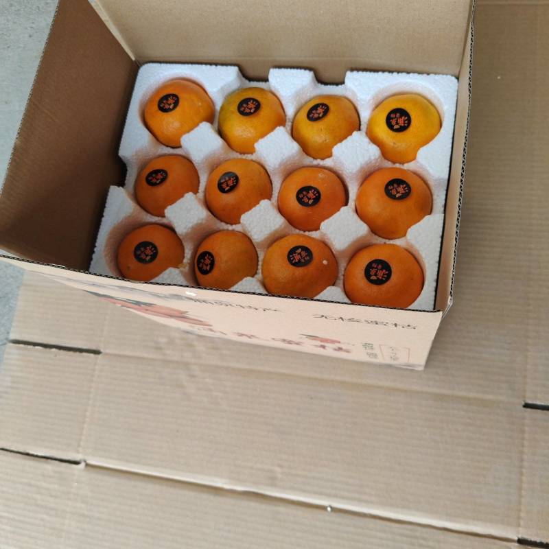 涌泉蜜橘，质量正宗，一箱净重12斤，精品货