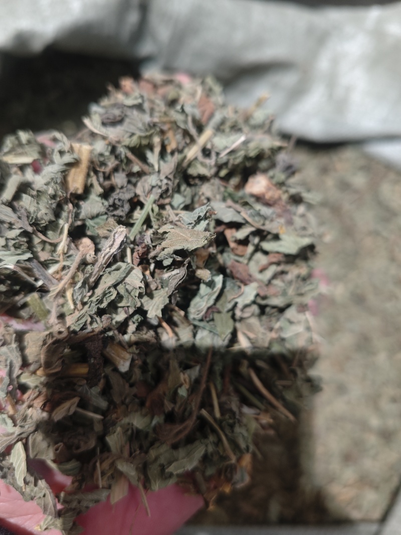 仙鹤草