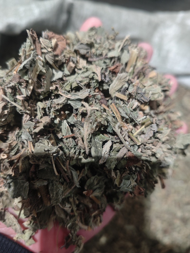 仙鹤草