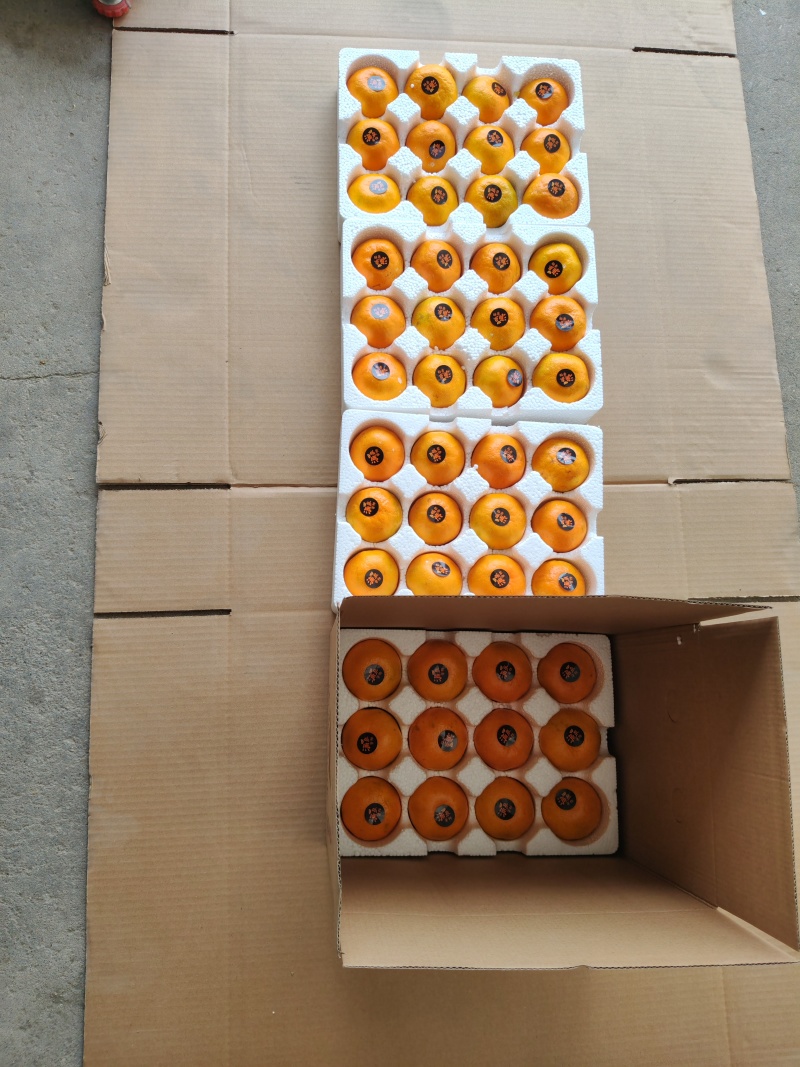 涌泉蜜橘，质量正宗，一箱净重12斤，精品货