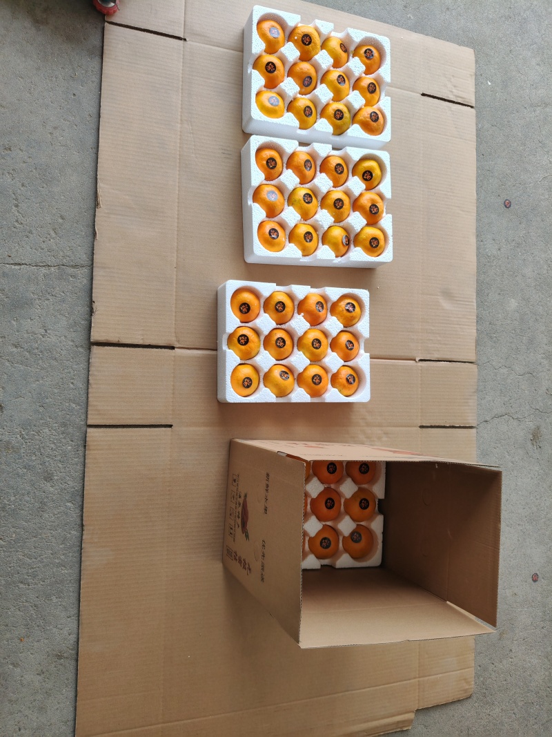 涌泉蜜橘，质量正宗，一箱净重12斤，精品货