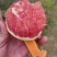 卡拉红肉橙