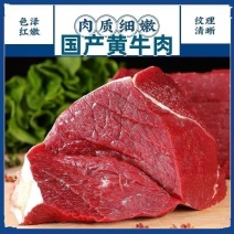 【牛腿肉】河北保定定兴县新鲜现杀小黄牛肉农家牛腩肉冷链