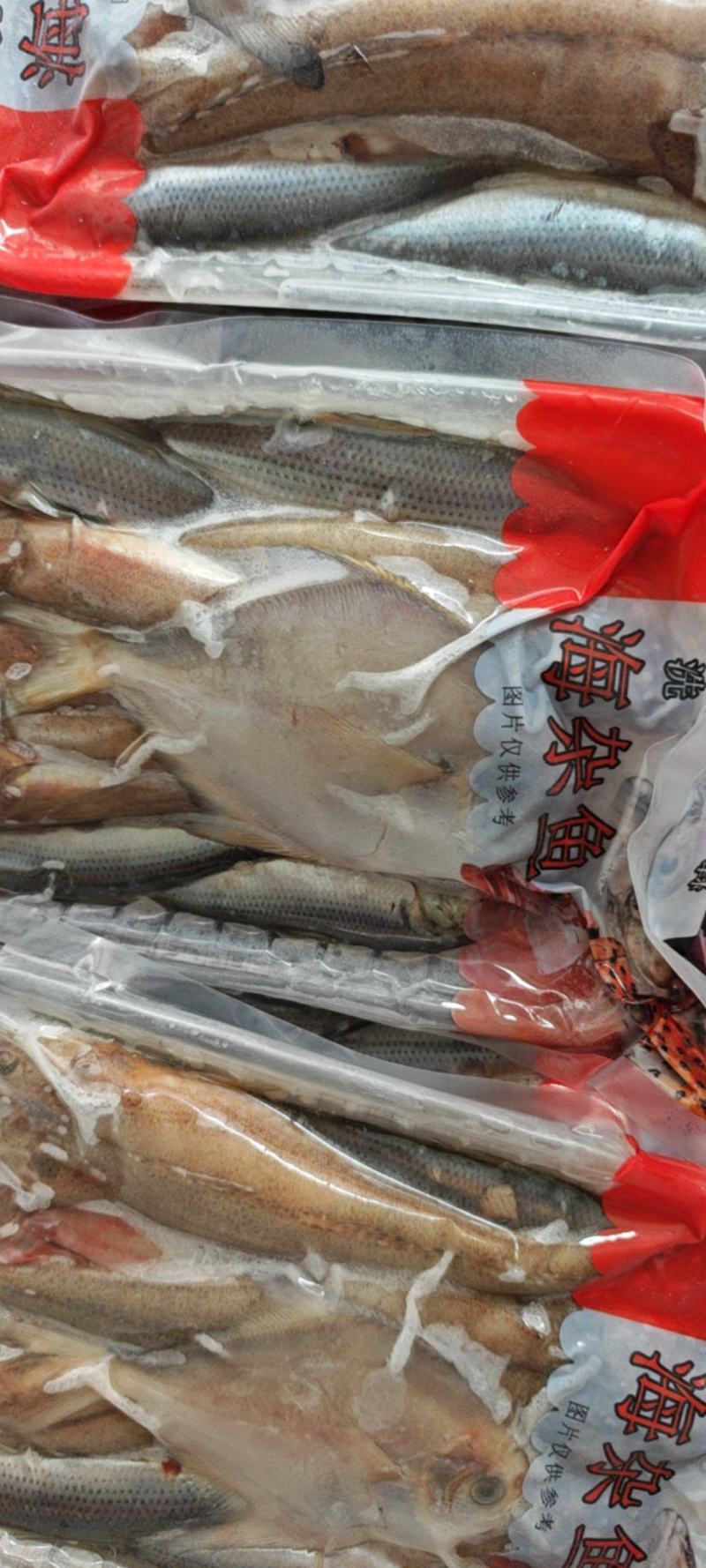 海杂鱼，支持批发价格优惠，支持视频产地看货，欢迎致电