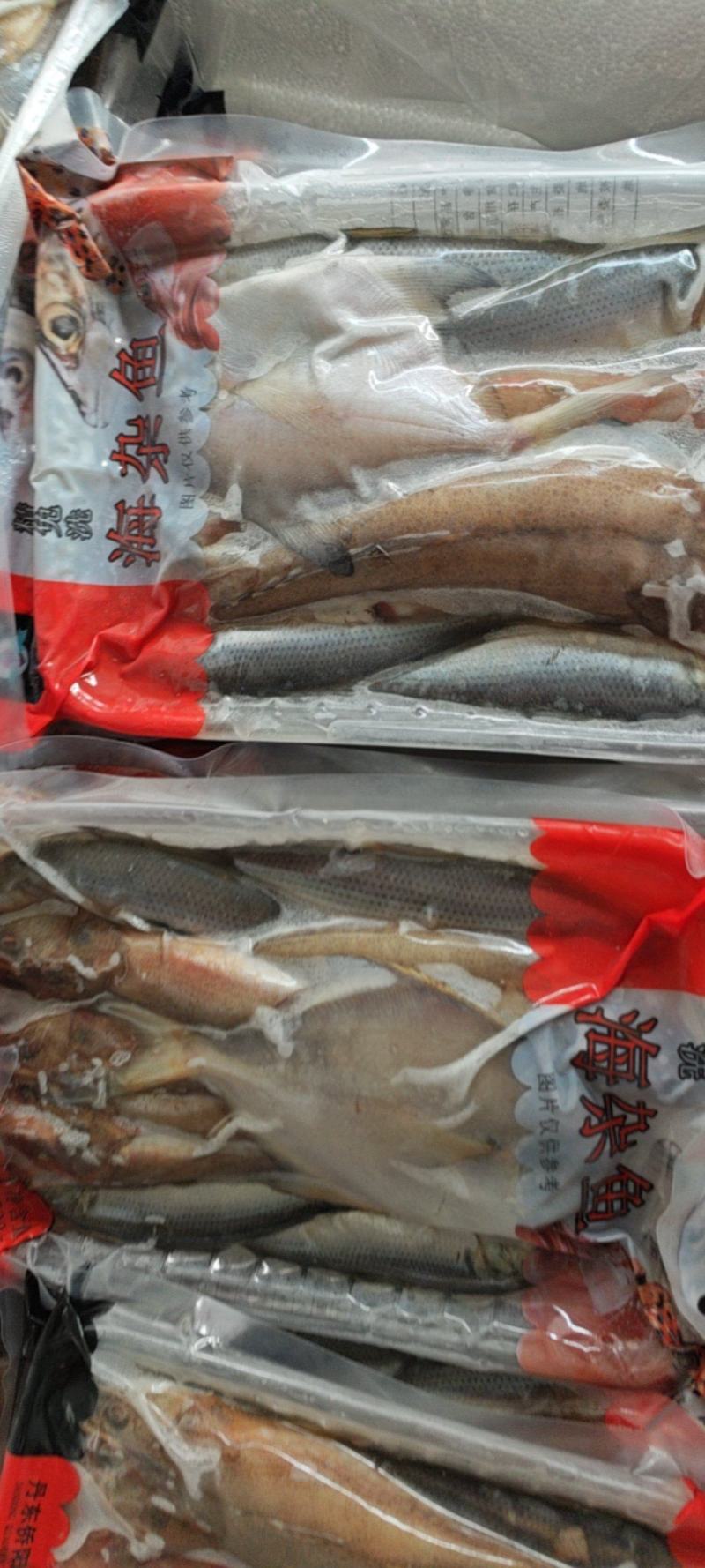 海杂鱼，支持批发价格优惠，支持视频产地看货，欢迎致电
