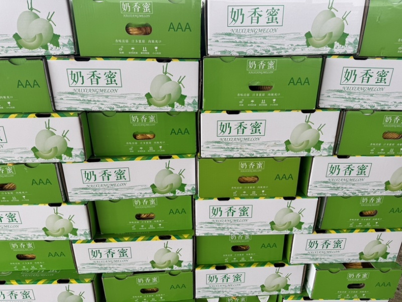 海南精品玉菇哈密瓜，对接市场电商产地直发