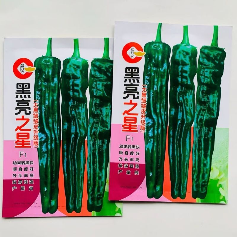 黑亮之星皱皮椒种子现货供应